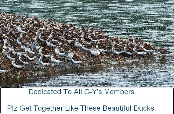 Favorite_Birding_places_AM10_01.jpg?t=1274621916