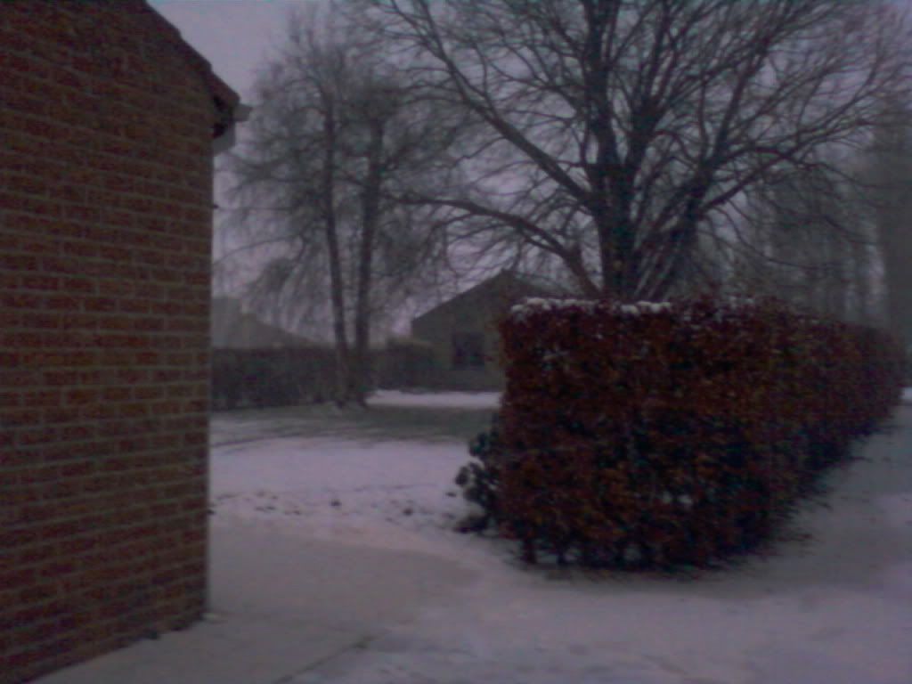 [Image: Foto-0095.jpg]