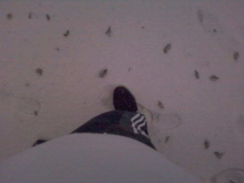 [Image: Foto-0097.jpg]