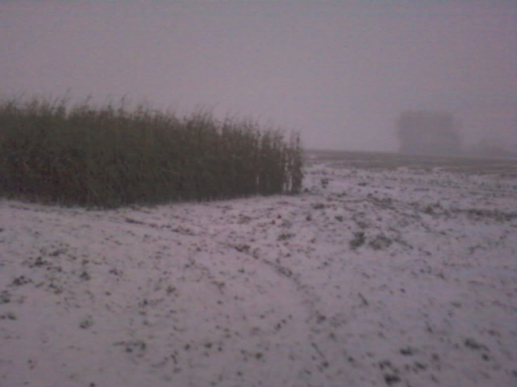 [Image: Foto-0098.jpg]