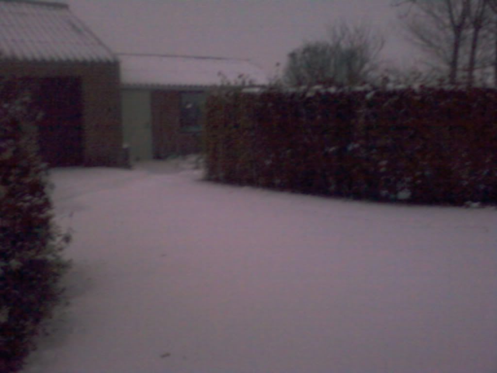 [Image: Foto-0101.jpg]