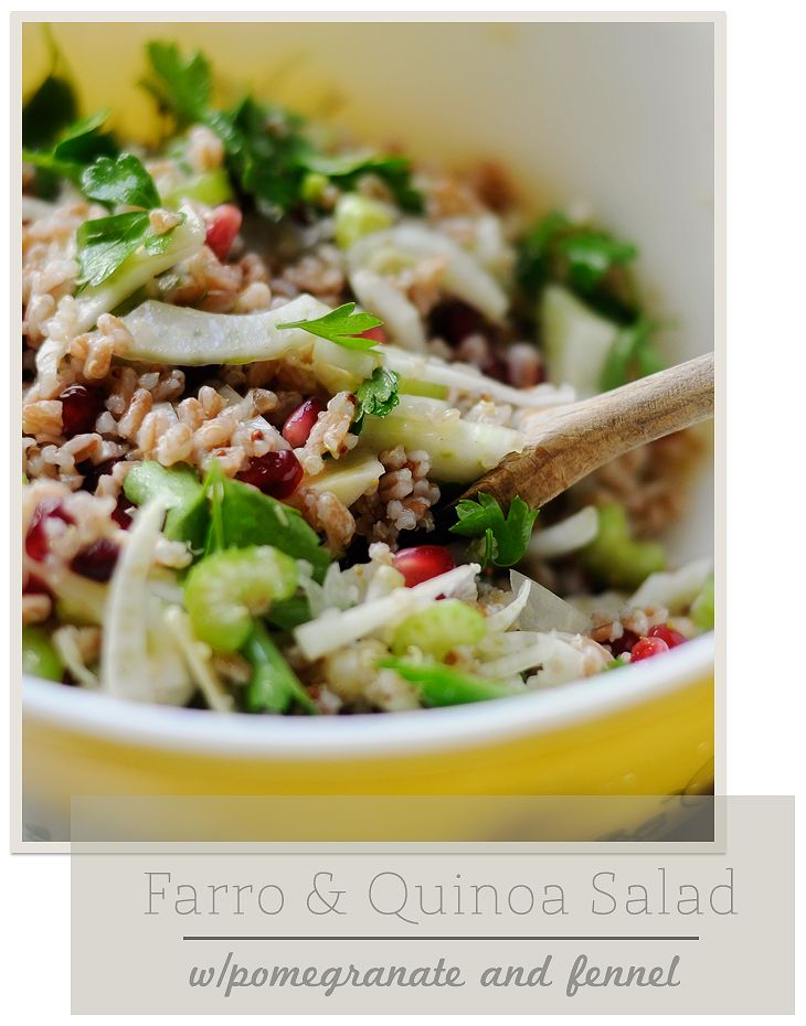 Farro & Quinoa Salad with Pomegranate and Fennel