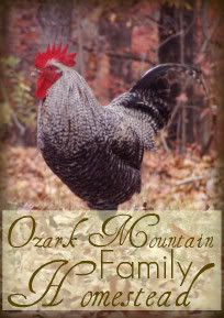 Ozark Mountain Family Homestead