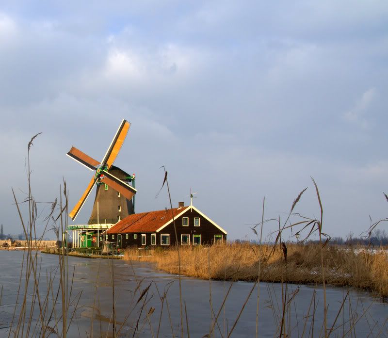 Fotografie