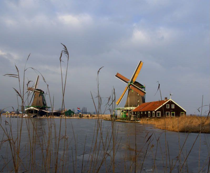 Fotografie