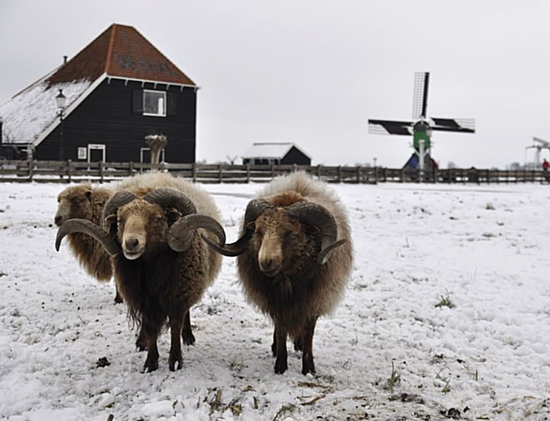 Fotografie