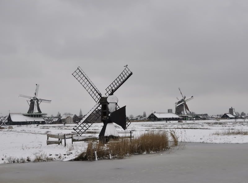 Fotografie