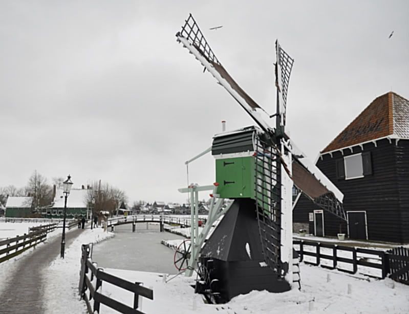 Fotografie