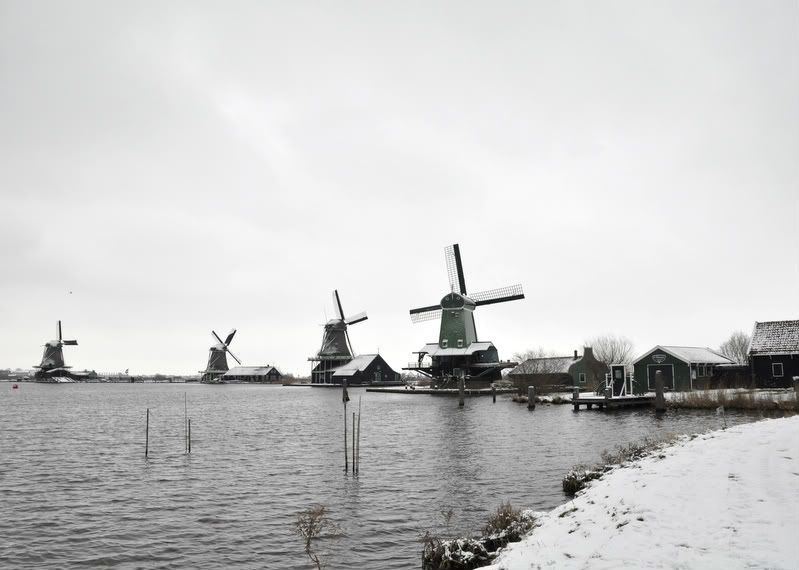 Fotografie