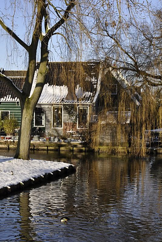 Fotografie