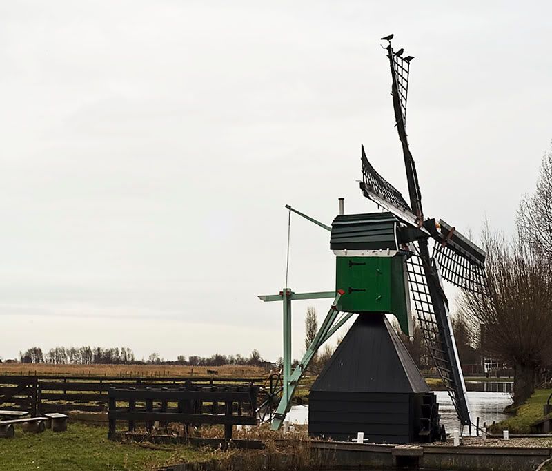 Fotografie