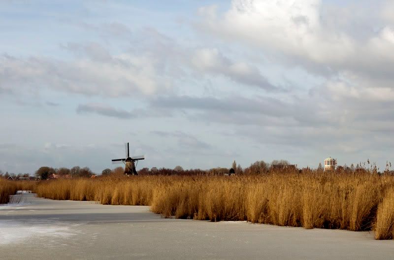 Fotografie
