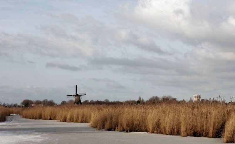 Fotografie