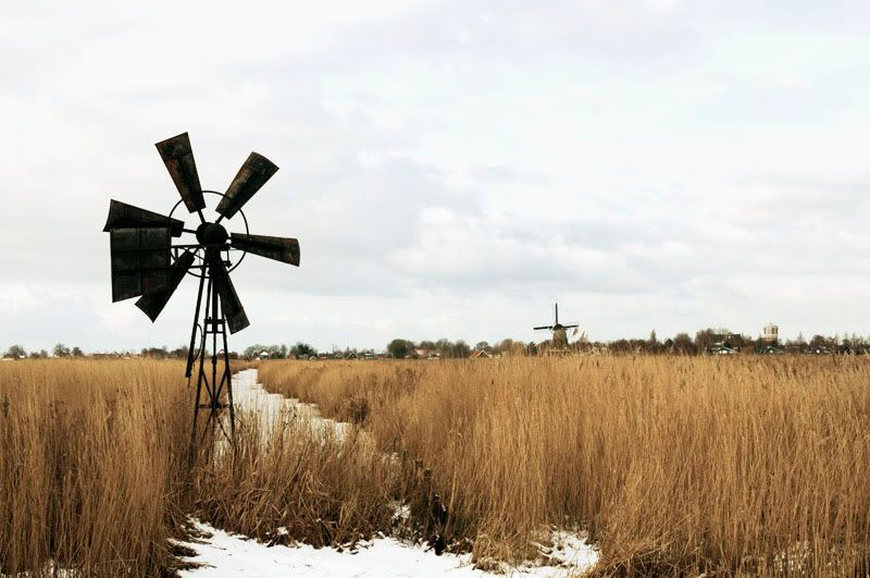 Fotografie