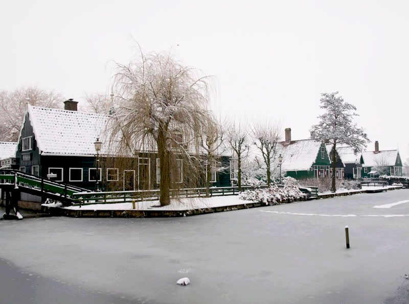 Fotografie