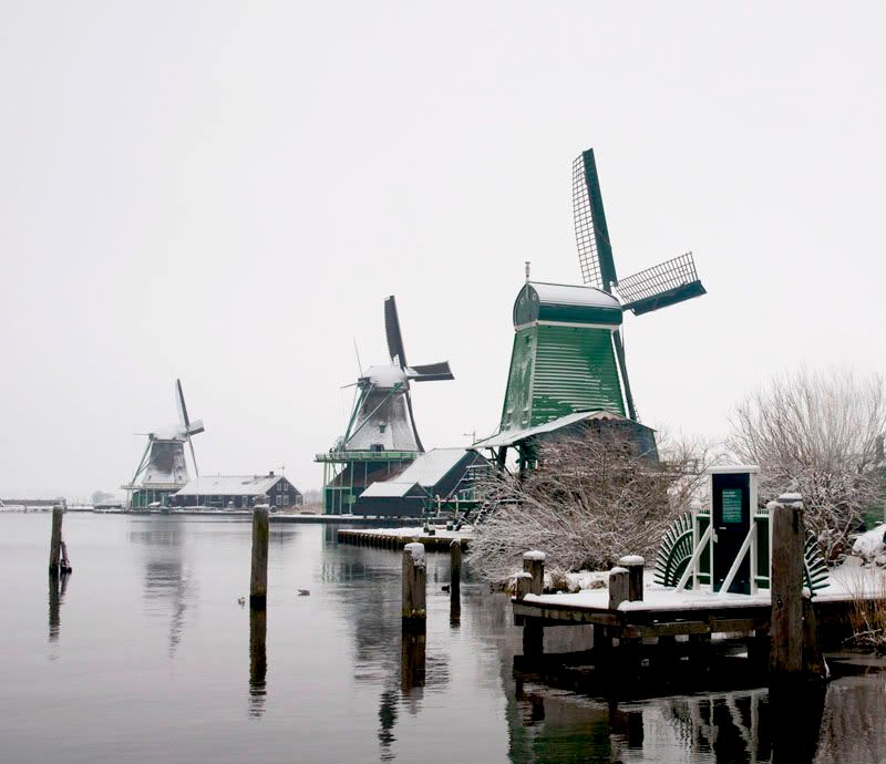 Fotografie