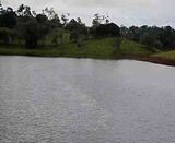  video DSC_0077.mp4
