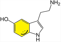 click to read Neuroskeptic's summary of this curious case