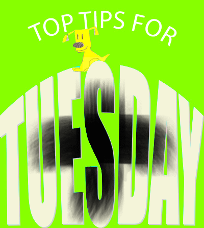 top tips for tuesday, ash wednesday