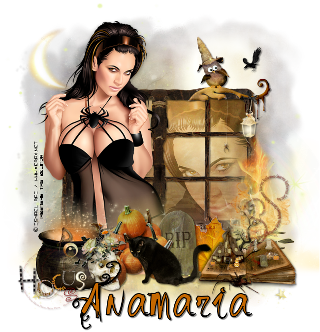 anamariabelidna41janyz.png 