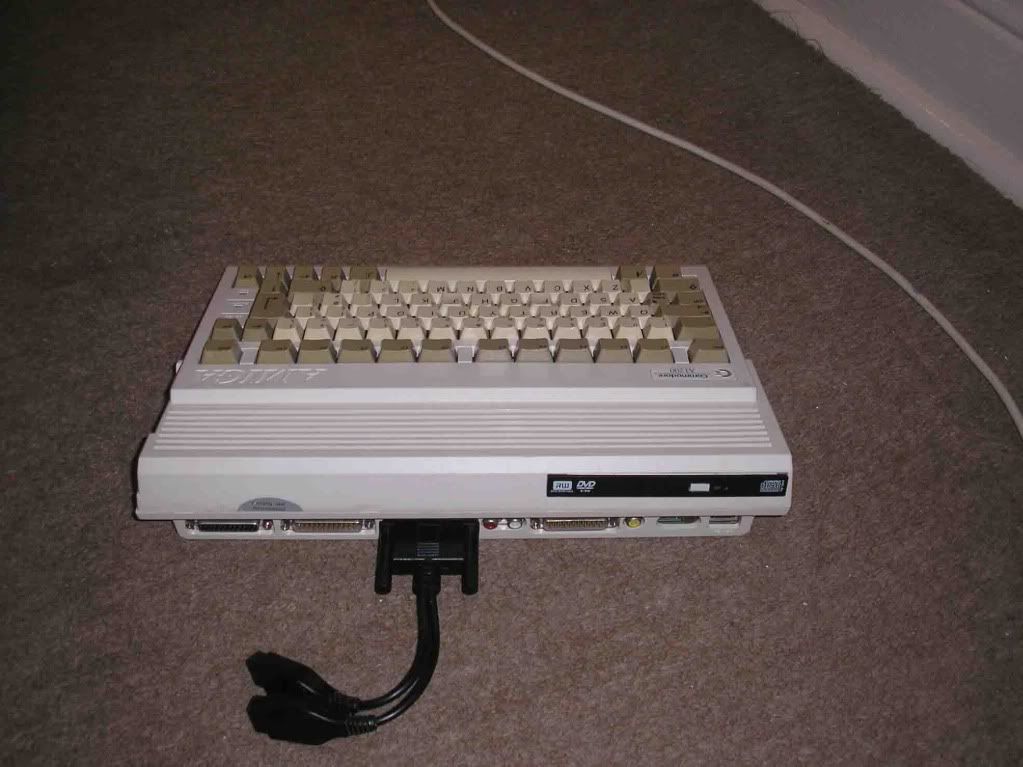 600.jpg