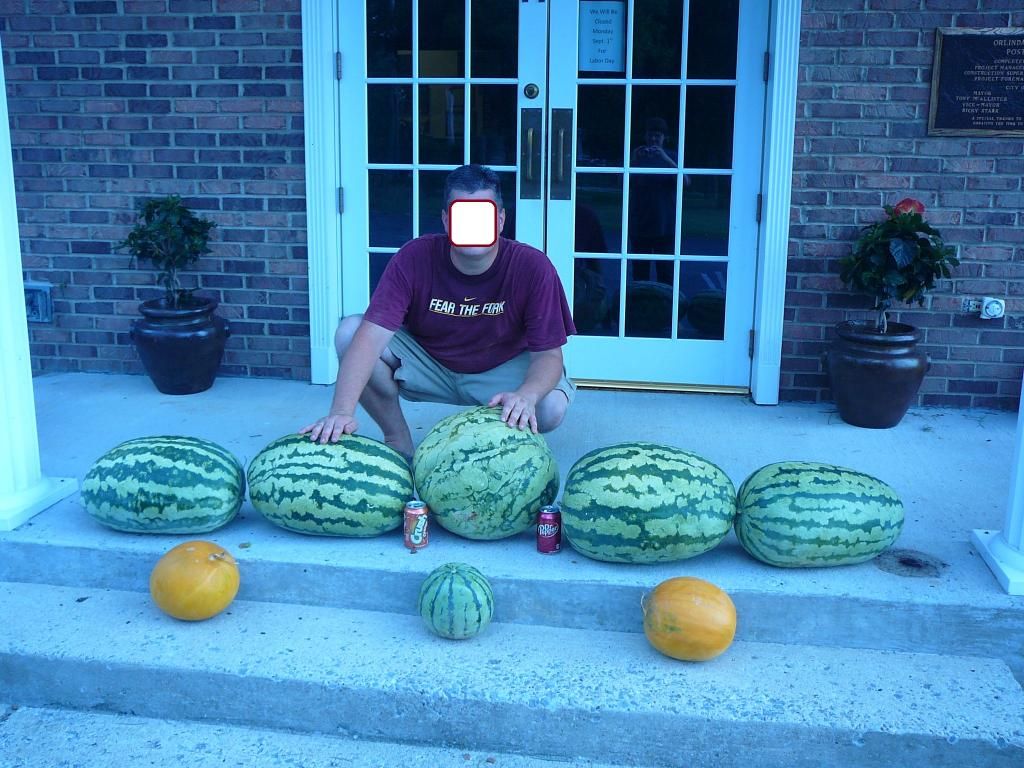  photo faceblur_zps939d3477.jpg