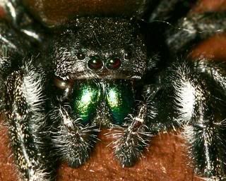 06201320052002820120Large.jpg