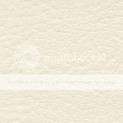 Cream Marine Vinyl   Medium Grain   By the Yard   EB1675  