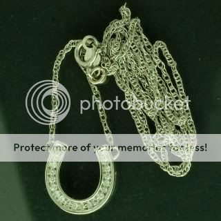 14K White Gold Diamond Horseshoe Pendant, 0.200 Ctw  