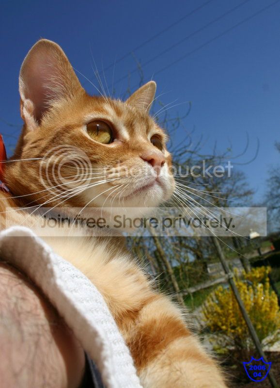 Chat alors!